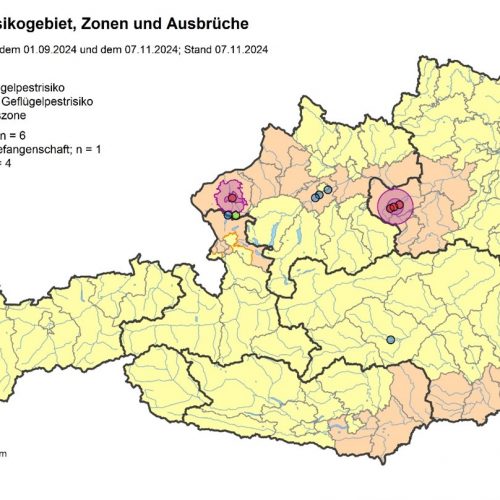 Geflügelpest: Veröffentlichung der Gebiete mit erhöhtem und stark erhöhtem Risiko