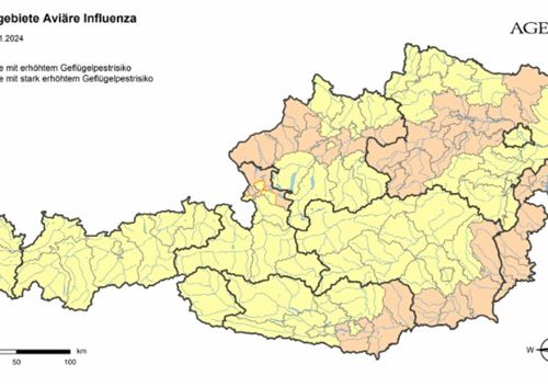 Geflügelpest: Aktualisierung der Gebiete mit stark erhöhtem Risiko