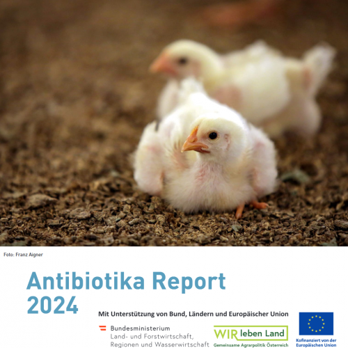 Antibiotikabericht 2024