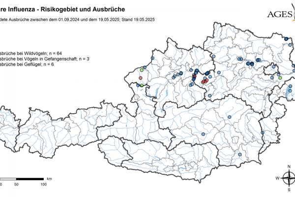AI Ausbrüche und Risikogebiete 19.05.25gebiet_de_f4d1162db2 AI Ausbrüche und Risikogebiete 19.05.25gebiet_de_f4d1162db2